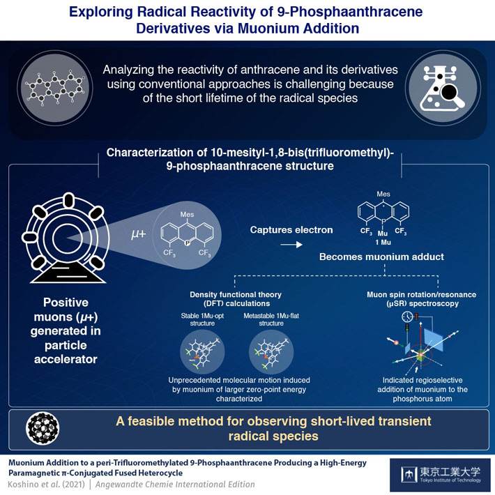 It’s Elementary: Visualizing Molecular Motion of Substituted 9-Phosphaanthracene