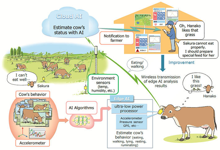 Figure 1 Future vision of livestock industry