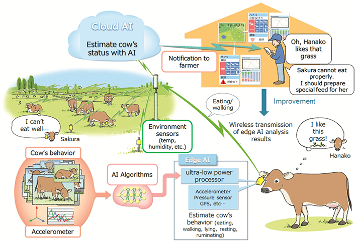 Validation of Asset Based Lending by Grazing Cattle using AI Monitoring System "PETER" started Labor-saving of livestock industries in grazing and ABL efforts in financial institution by Edge-AI and LPWA technology |