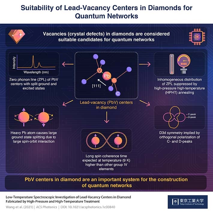 Suitability of Lead-Vacancy Centers in Diamond for Quantum Networks