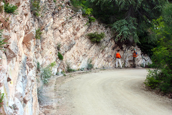 Scaglia Rossa Limestone exposed near Furlo, Italy, in the Northern Apennine Mountains. Limestone at this locality accumulated on the bottom of a shallow sea, in an arm of the ancient Mediterranean ocean nearly 85 million years ago, during what is called Late Cretaceous time. Image Credit: Ross Mitchell.