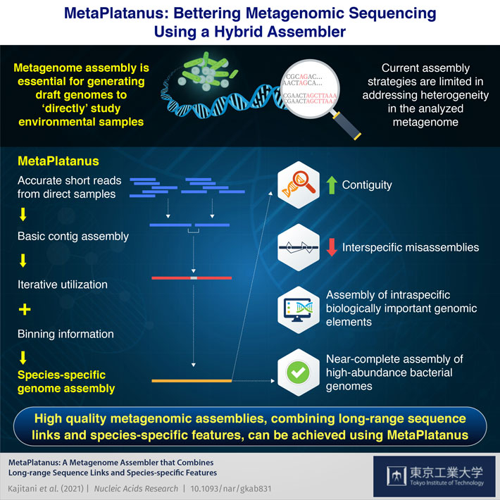 Sequencing the Unknown Made Easy: MetaPlatanus Improves Metagenome Assembly