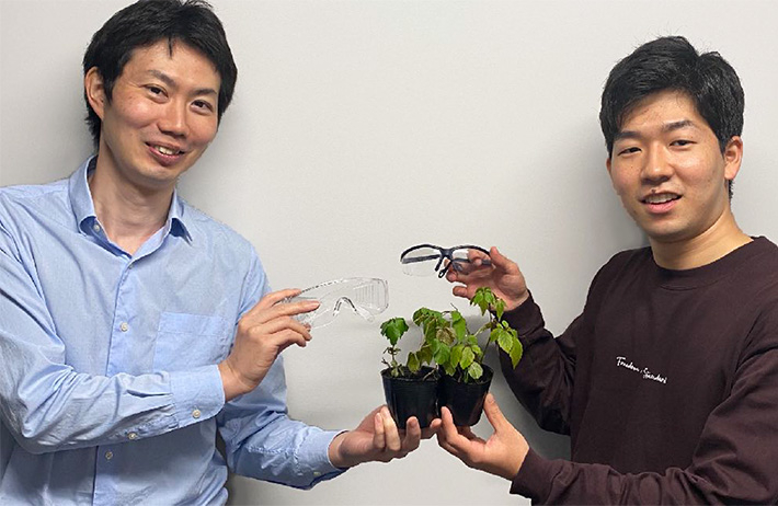 Aoki (left; corresponding author) and Abe (right; first author) holding plants and commercially available protective glasses made of polycarbonate
