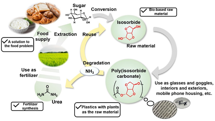 Overview of the recycling system for bio-based plastic