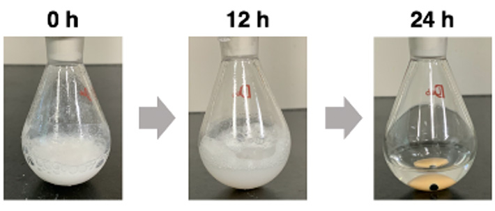 Changes a polycarbonate undergoes as it is degraded by aqueous ammonia