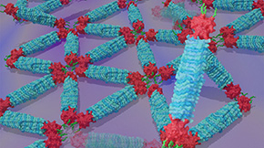 Decoding Protein Assembly Dynamics with Artificial Protein Needles