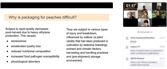 Presentation on "How are peaches delivered" by Team Woodpeckers