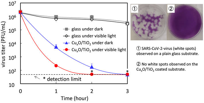 Figure 1: Antiviral effect towards Delta valiant of SARS-CoV-2 by the photocatalyst coating under light and dark conditions The TiO2/CuxO coating inactivates viruses even under dark condition. Its antiviral activity is further enhanced by visible light irradiation.