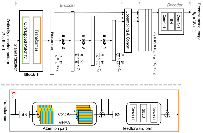 Figure 2 The Proposed ViT-based neural network for image reconstruction. Vision Transformer (ViT) is leading-edge machine learning technique, which is better at global feature reasoning due to its novel structure of the multistage transformer blocks with overlapped ‘patchify’ modules. This allows it to efficiently learn image features in a hierarchical representation, making it able to address the multiplexing property and avoid the limitations of conventional CNN-based deep learning, thereby allowing better image reconstruction. Image credit: Xiuxi Pan from Tokyo Tech