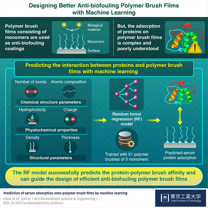 Machine Learning Enables Optimal Design of Anti-Biofouling Polymer Brush Films
