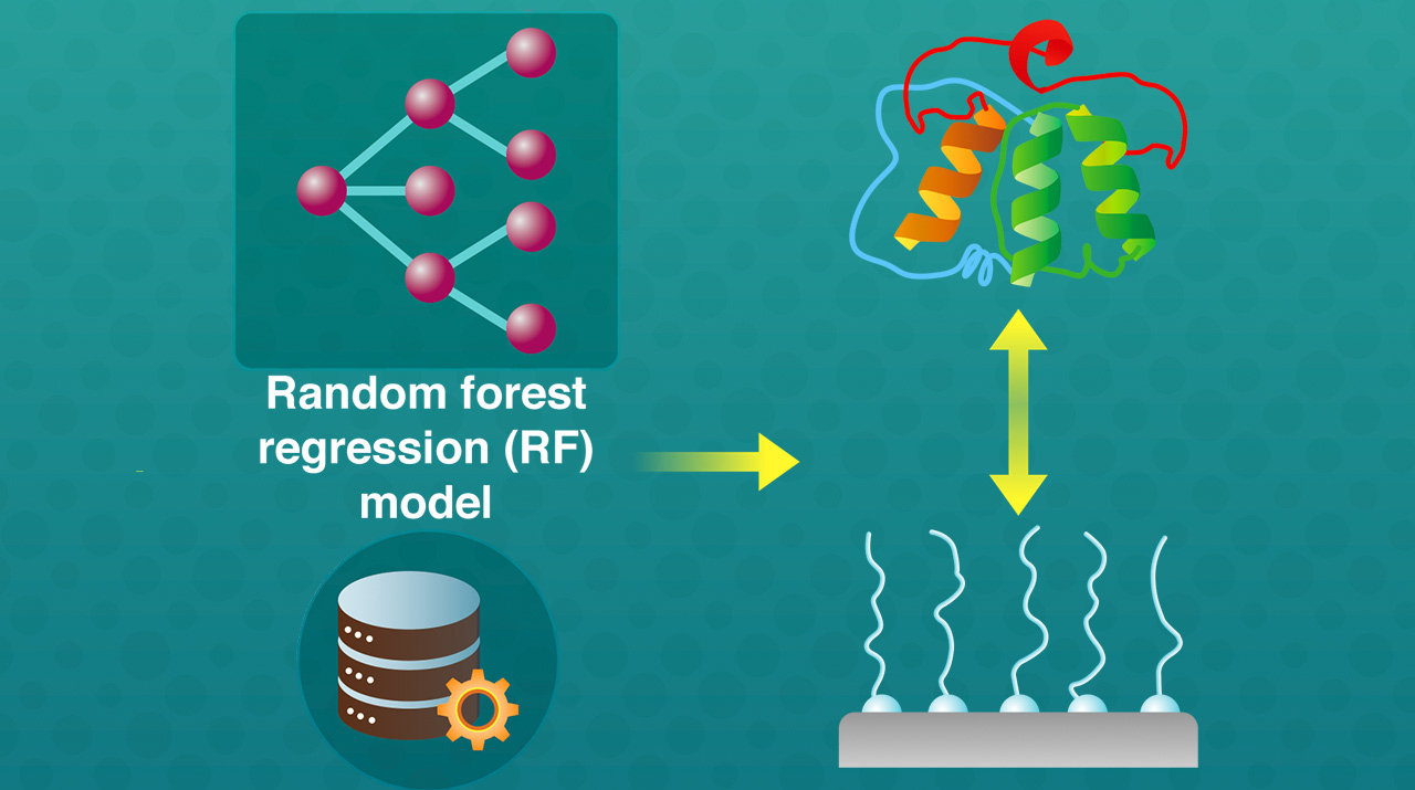 Machine Learning Enables Optimal Design of Anti-Biofouling Polymer Brush Films