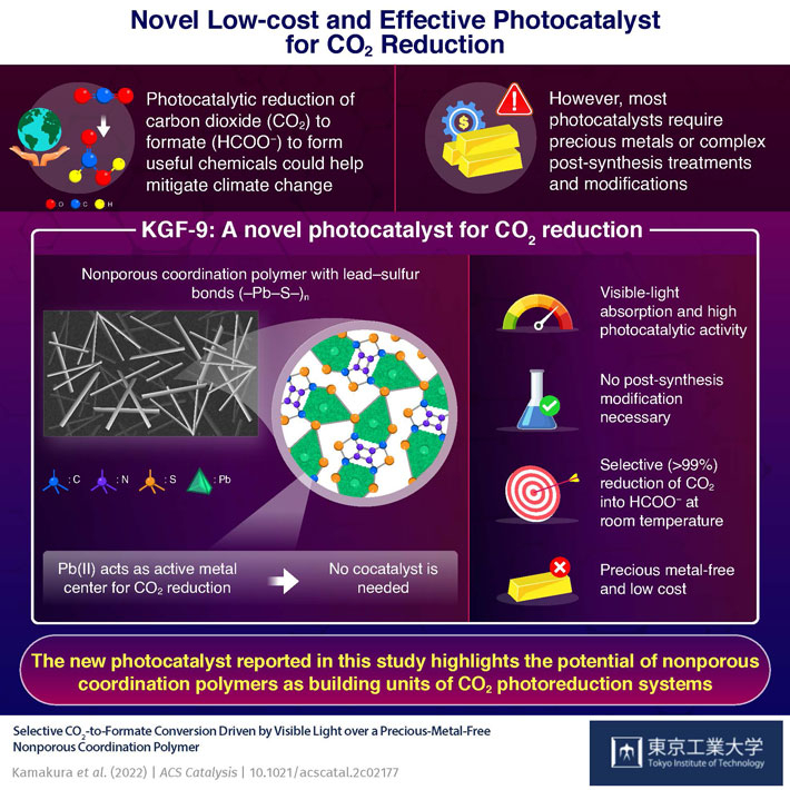 Novel Low-cost and Effective Photocatalyst for CO2 Reduction