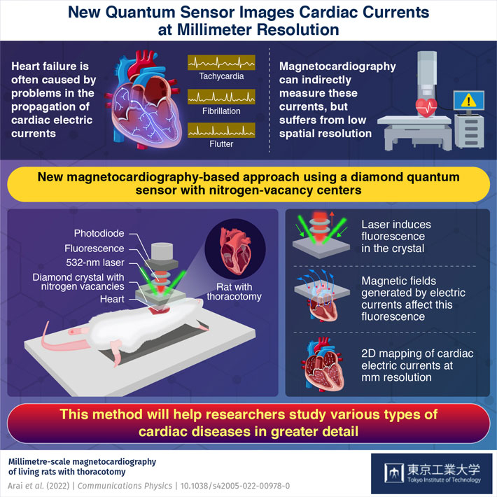 New Quantum Sensor Images Cardiac Currents at Millimetr Resolution