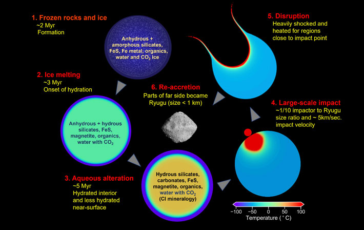 Figure 2. Ryugu formation and evolution process inferred from the analysis of Ryugu samples. The temperature distribution, age, and collisional destruction process of the object were obtained by numerical simulation. Credit: T. Nakamura et al. Science (2022)