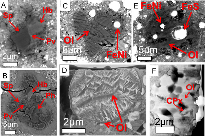 Figure 3. Particles formed in high temperature environments (>1000°C) found in the Ryugu samples (all images are taken by electron microscopes). (A, B) Ca- and Al-rich inclusions, (B-D) chondrules consist of olivine (Ol), metallic iron (FeNi), and iron sulfide (FeS), (F) porous particles resembling amoeboid olivine aggregates. Credit: T. Nakamura et al. <i>Science</i> (2022)
