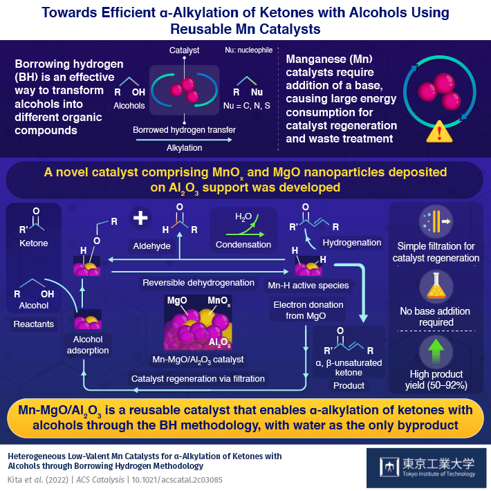 Inexpensive, Reusable Mn Catalysts Make for Efficient Alkylation of Ketones With Alcohols