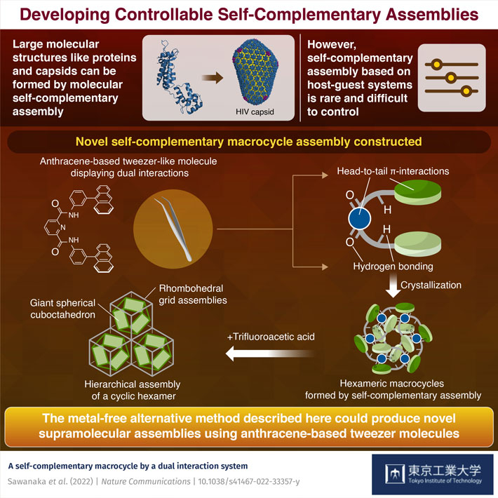 Developing Self-Complementary Macrocycles with Ingenious Molecules