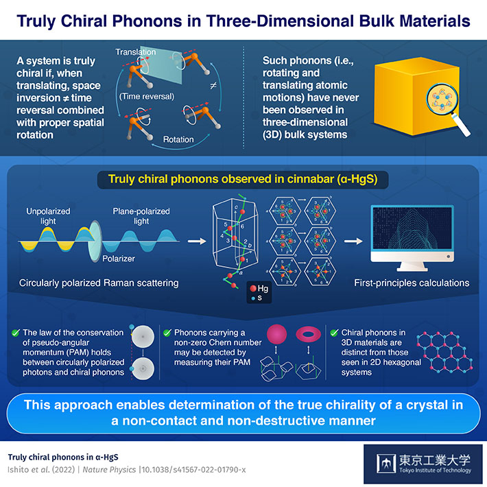Truly Chiral Phonons in Three-Dimensional Bulk Materials