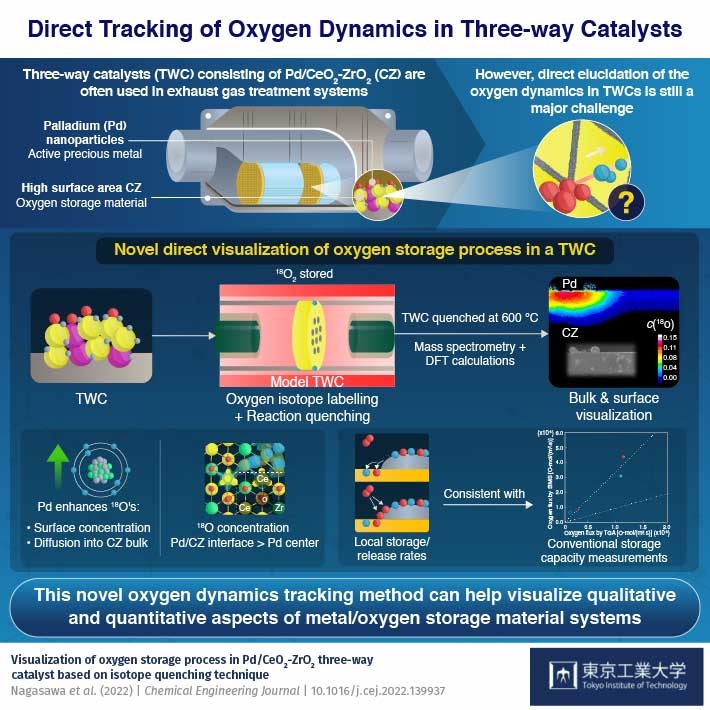 A new isotope labeling and catalyst quenching-based direct visualization technique was developed by scientists at Tokyo Tech to explain the oxygen storage and release process in three-way catalysts (TWCs) used in vehicular exhaust treatment systems.