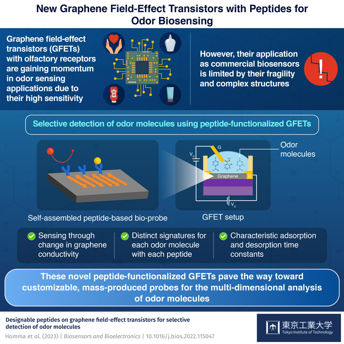 Electronic Nose: Sensing the Odor Molecules on Graphene Surface Layered with Self-Assembled Peptides