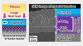 Mitigating corrosion by liquid tin could lead to better cooling in fusion reactors