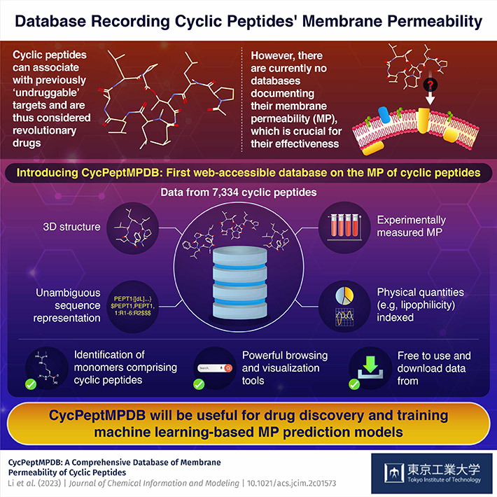CycPeptMPDB: A Database Aimed at Promoting Drug Design Using Cyclic Peptides