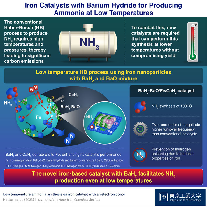 Iron Catalysts with Barium Hydride for Pfoducing Ammonia at Low Temperatures