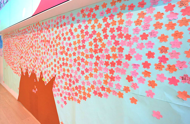 Single cherry blossom tree full of new students' aspirations