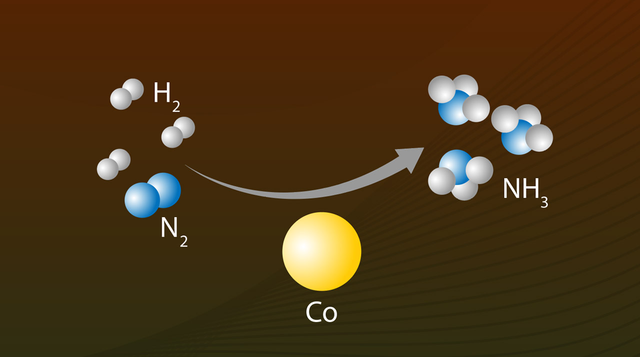 Record Ammonia Production Achieved with Inexpensive Cobalt Catalyst at Low Temperatures