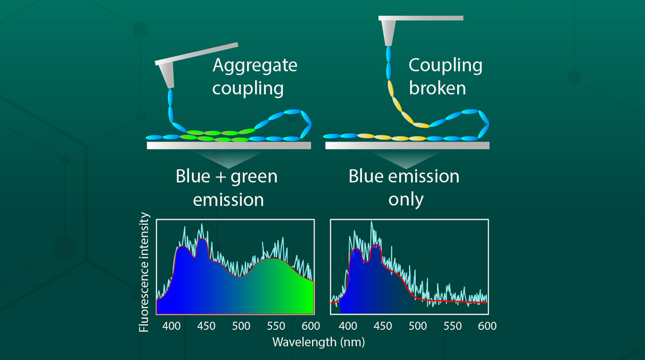 Unraveling the Mechanism of Green Emission Peaks in Single Polyfluorene Chains