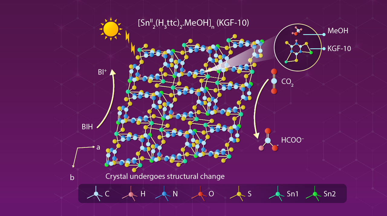 Novel Tin-Based Metal–Organic Frameworks for Reducing Carbon Dioxide to Formate