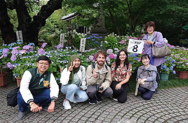 Enjoying lush hydrangeas on grounds of Hasedera Temple