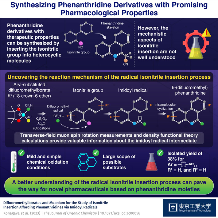 Towards Synthesis of Phenanthridine-Based Pharmaceutical Compounds