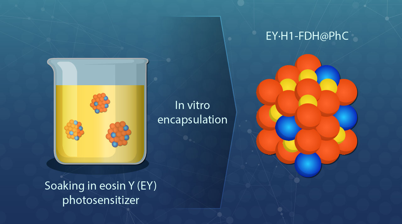 Towards Artificial Photosynthesis with Engineering of Protein Crystals