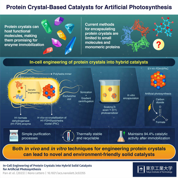 Protein Crystal-Based Catalysts for Artificial Photosynthesis