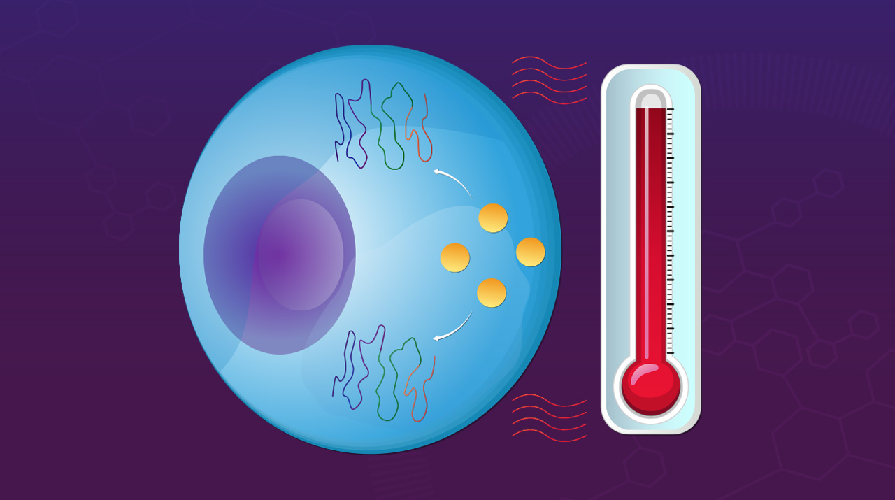 Unveiling Novel Mechanism Underlying the Heat Shock Response in ...