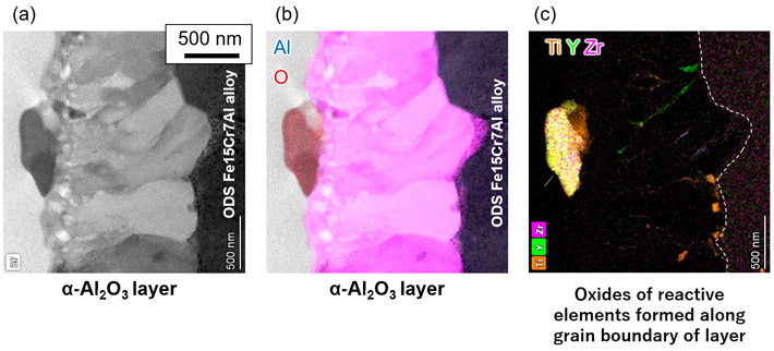 Figure 1 Cross-sectional microstructure of α-Al2O3 layer formed by ODS Fe15Cr7Al alloy (a) Scanning transmission electron microscope image; (b) Energy dispersive X-ray (EDX) elemental mapping image of aluminum and oxygen; (c) Elemental mapping image of titanium, yttrium, and zirconium by EDX analysis