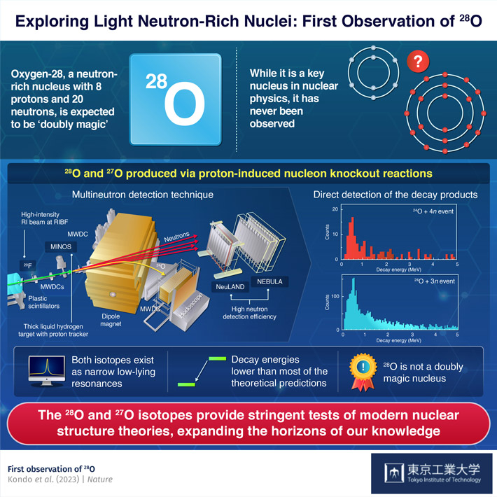 Exploring Light Neutron-Rich Nuclei: First Observation of Oxygen-28