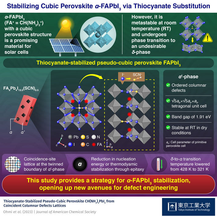 Stabilizing Cubic Perovskite α-FAPbI3 via Thiocyanate Substitution