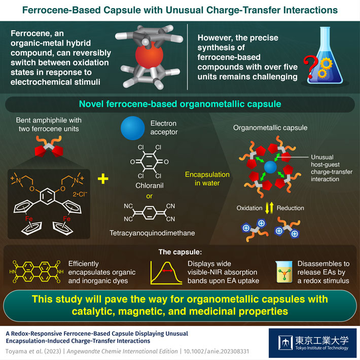 Ferrocene-Based Capsule with Unusual Charge-Transfer Interactions