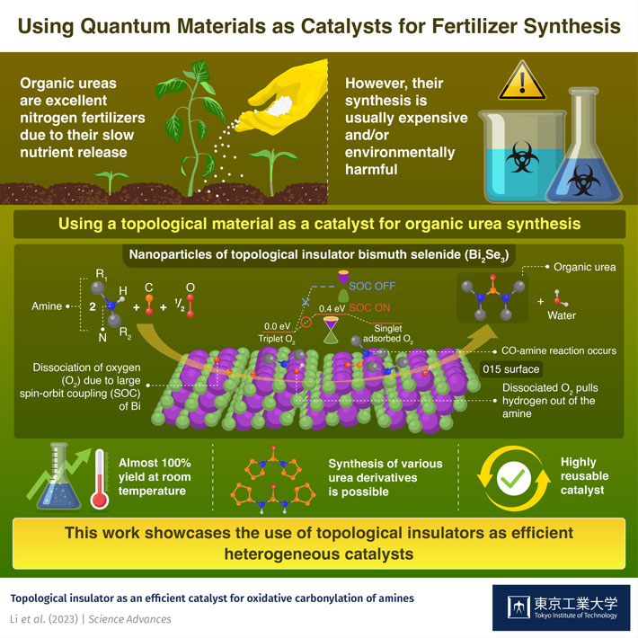 Using Quantum Materials as Catalysts for Fertilizer Synthesis