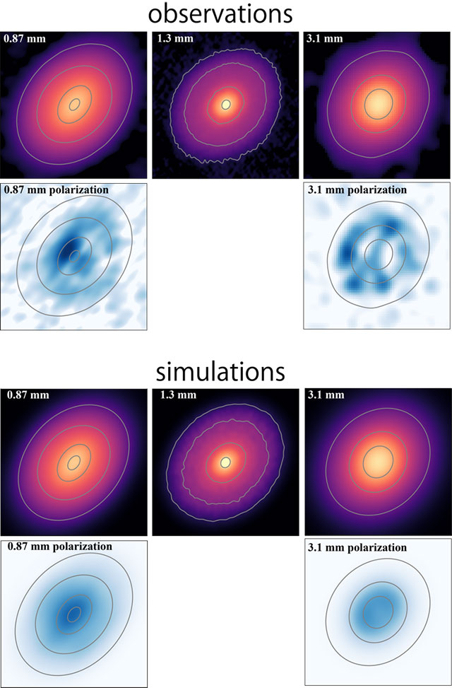 Figure 2  (Top) Radio wave strength maps of the DG Tau disk at wavelengths of 0.87 mm, 1.3 mm, and 3.1 mm observed with ALMA and polarization strength maps of radio waves scattered by dust at wavelengths of 0.87 mm and 3.1 mm. (Bottom) The simulation which provides the best agreement with the above observations. Credit: ALMA (ESO/NAOJ/NRAO), S. Ohashi et al.