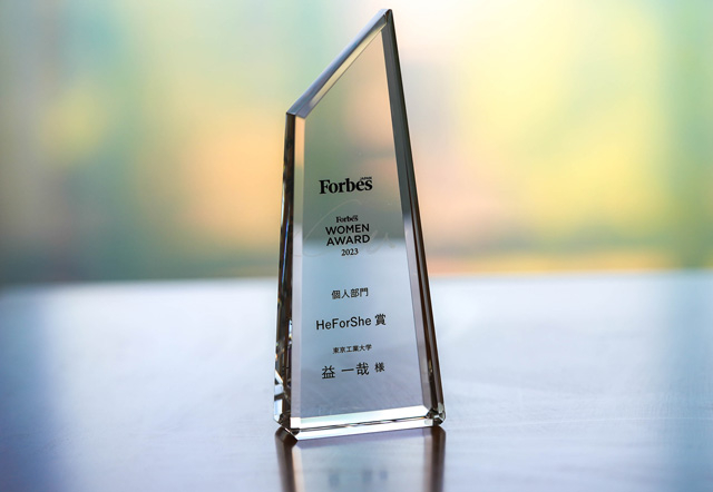 HeForShe Award trophy