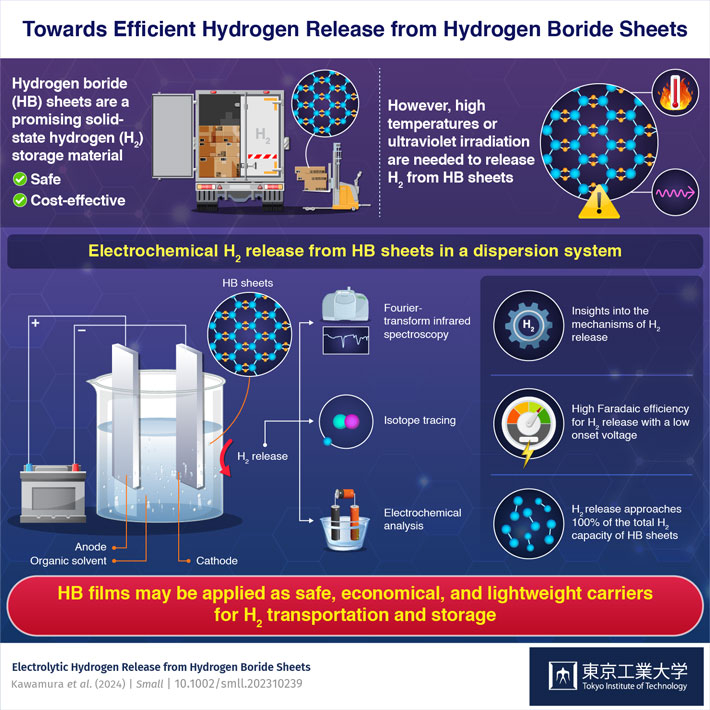 Towards Efficient Hydrogen Release from Hydrogen Boride Sheets