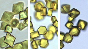 Isomerism Can Control and Increase the Diversity of Structure of Covalent Organic Frameworks, Emerging Nanoporous Solids