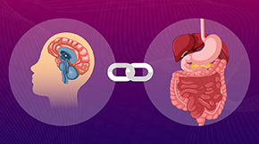 Decoding How the Brain Manages the Appetite for Salt and Water