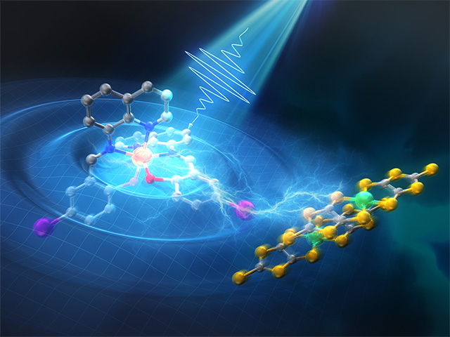 Figure 1 Schematic image of the intermolecular interaction induced by spin crossover ligand expansion This illustration shows the [Fe(Iqsal)2]+ cation being photoexcited and transferring energy through a halogen bond,  inducing strain effect on the [Ni(dmit)2]− anion, causing a structural change.