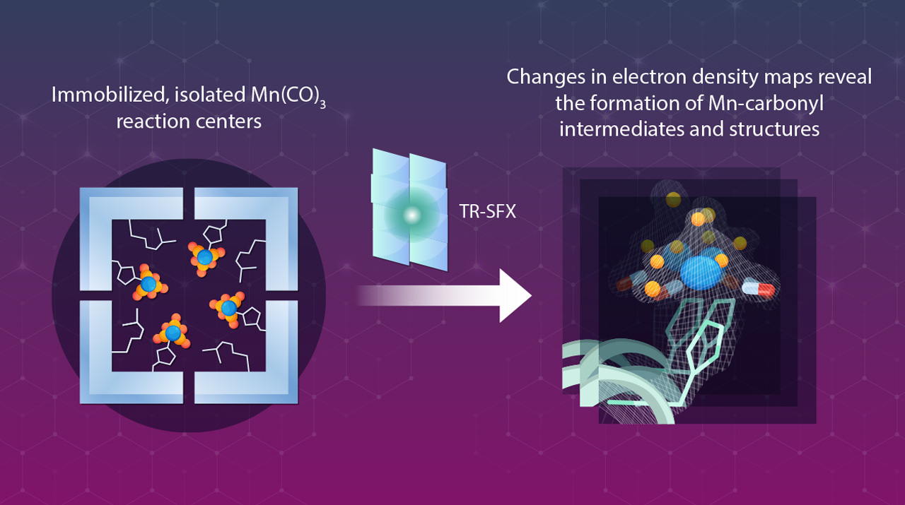 Visualizing ShortLived Intermediate Compounds Produced During Chemical