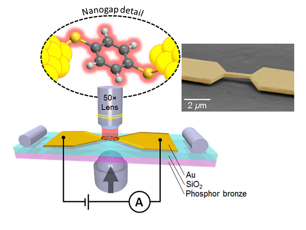 Schematic of hybrid spectro-electric measurement set-up. The nanogap detail shows a BDT molecule bridging the gap between the two Au electrodes. Raman spectra were detected while simultaneous electrical measurements were performed. Inset: Colored scanning electron microscope image of a freestanding Au nanojunction.
