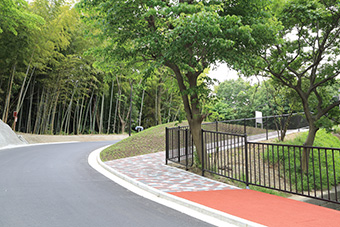 Pedestrian-friendly design lining the ring road